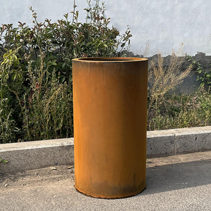 Charme extraordinaire des pots de fleurs en acier résistant aux intempéries pour les <span class=keywords><strong>jardins</strong></span> extérieurs et la décoration intérieure - Product Image 2