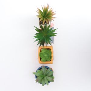 Avec Plantes Bureau Maison Voyage de Saveur Roogo Style <span class=keywords><strong>Japonais</strong></span> Ensemble de 4 Pièces Cadeau avec Petite Plante et Porte-Stylo <span class=keywords><strong>Pot</strong></span> Succulent - Product Image 2