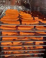 Commerciële 9-kamer multifunctionele voedseldroger, 90 trays, stille dehydrator voor fruitteeltbedrijven & voedingsfabrieken