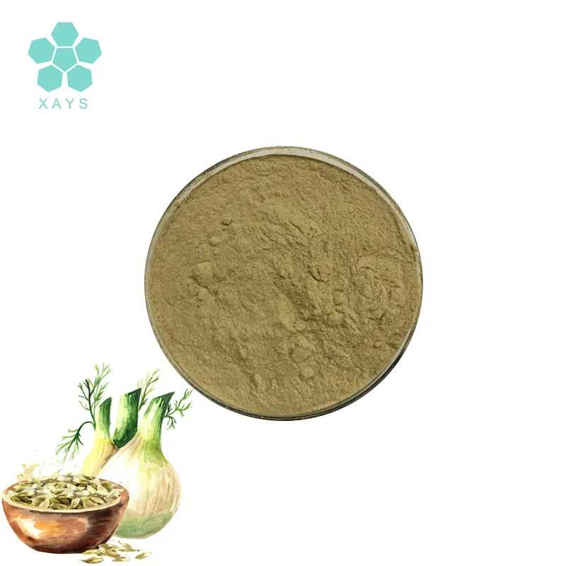 High Quality Pure Natural Bulk Price Fennel Seed Extract Powder