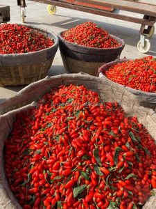 เบอร์รี่โกจิเบอร์รี่แบบแห้งเบอร์รี่โกจิเบอร์รี่สีแดงเบอร์รี่หมาป่าสีดำ - Product Image 2