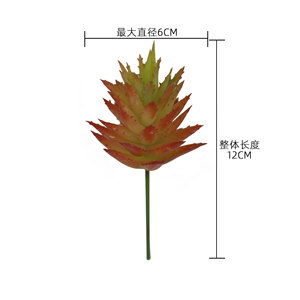 CallaFloral Plantes succulentes artificielles en plastique, fleurs décoratives rouges d'automne, plantes épineuses pour la photographie à domicile, e-commerce transfrontalier - Product Image 4