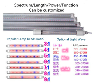 Lámpara LED T8 Hidropónica para Cultivo, 1200mm, Aluminio, 15W/30W, IP44, 3 Años de Garantía, para Floración de Tomates - Product Image 5