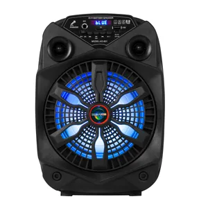 Portable BT Speaker with Subwoofer, LED Lights, EQ, Booming Bass