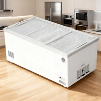 Offre Spéciale d'usine litre différent maison mini réfrigérateur d'aliments frais réfrigérateur congélateur maison réfrigérateurs hôtel mini réfrigérateur