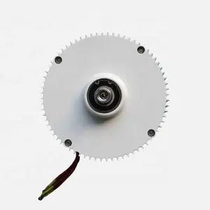 400W 12V 24V Horizontale Verticale Windturbine Generator Permanente Magneet Generator