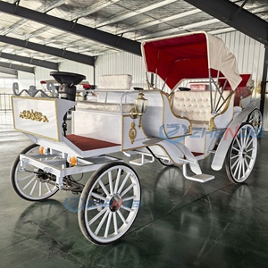 China Xuchang Zhenda Machinery Electric Sightseeing Carriage Classical <b>White</b> Wagon Soft Seat Royal Horseless Design 6-Person - Product Image 5