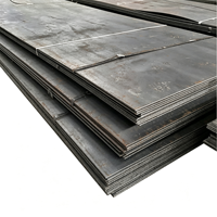 Tôle d'acier laminée à chaud, fer noir HR S235 S355 SS400 A36 A283 Q235 Q345 NM450 NM500, tôle d'acier doux résistante à l'abrasion