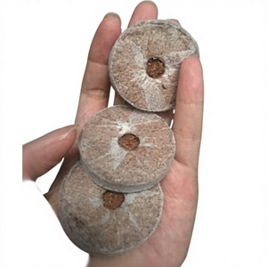 Disques de coco compressés pour la germination des graines et les pots de pépinière, substrat de culture sans tourbe, vente en gros - Product Image 3