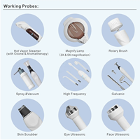 Appareil de soin du visage 9 en 1 : vaporisateur, brosse rotative, nettoyage du visage, spa facial