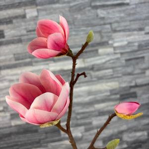 Ramas Individuales de Magnolia Artificial de Seda, Flores de Magnolia Artificiales de Alta Calidad al por Mayor para Decoración del Hogar en China - Product Image 2