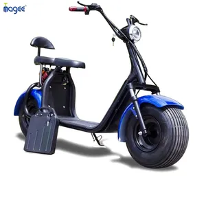 2024 neues Modell 2-Räder EWG-Elektro-Scooter 2-Räder Citycoco 1500 W mit EWG/COC-Zulassung Ältere Menschen fahren Dreiräder