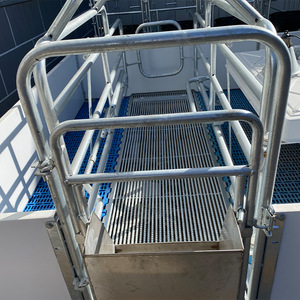 Cages de maternité complètes pour porcs avec système de contention réglable pour truies, pour l'élevage et la reproduction porcine à grande échelle - Product Image 3