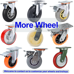 Werkseitige Lieferung Allrad-Hochleistungs-Handwagen Custom Wheel Blue Plastic Platform Trolley Hand Truck - Product Image 4