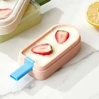 Machine à Popsicle Réutilisable en Silicone Personnalisé Vente en Gros Été Grande Glace Maison POP De Qualité Alimentaire Sans BPA Machine à Popsicle