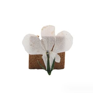 Autocollants de bordure écologiques en fleurs séchées et pressées de <span class=keywords><strong>Lobelia</strong></span> Erinus pour la Saint-Valentin et Noël, idéaux pour les créations en résine époxy - Product Image 2