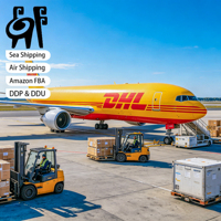 Service complet d'expéditeur de fret maritime de conteneur DDU économique logistique locale d'Air Express de la Chine au R-U Argentine Libéria