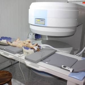 MT MEDICAL 0.35T <strong>Open</strong> <strong>MRI</strong> <strong>Machine</strong>, C-type Wide <strong>Open</strong> Permanent Magnet <strong>MRI</strong> Scanner for Hospital Radiology Department - Product Image 1