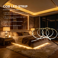 VH SMART LIGHTING Bande lumineuse LED COB flexible professionnelle étroite 12V 24V 4mm pour la décoration commerciale et résidentielle