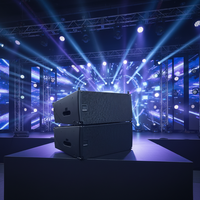 Système de sonorisation actif professionnel à double enceinte line array 10 pouces 910LA, design de montage portable, pour spectacles sur scène.