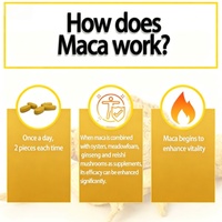 Complément alimentaire à base d'extrait de ginseng Macagan de haute qualité, complément énergétique pour hommes adultes, 12 comprimés/flacon
