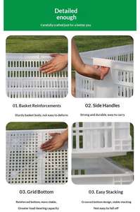 Grandes cages en plastique à mailles ventilées, boîtes de stockage logistique pour le transport de fruits, de pommes de terre, d'oignons - Product Image 4