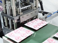 Machine à blisters haut de gamme entièrement servo-électrique SL-480DU |   Moule personnalisé pour œufs surprise, formage et scellage automatiques, chocolat congelé