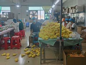 Poupée en peluche personnalisée Adventure Island Pirate Ship Cartoon Soft Doll <span class=keywords><strong>Super</strong></span> Soft PP Cotton Filled Cadeaux pour enfants <span class=keywords><strong>Bateau</strong></span> - Product Image 5