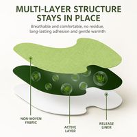 Patch Herbal Personnalisé à l'Armoise OEM, Plâtre Cervical à l'Armoise, Marque Privée, Faible MOQ, Certifié CE Classe I