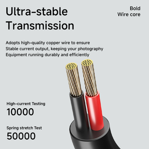Adaptateur d'alimentation pour appareils photo ZV-E10 A6000 <span class=keywords><strong>NEX</strong></span>-3N <span class=keywords><strong>NEX</strong></span>-5N <span class=keywords><strong>NEX</strong></span>-5R <span class=keywords><strong>NEX</strong></span>-5T <span class=keywords><strong>NEX</strong></span>-6 <span class=keywords><strong>NEX</strong></span>-7 <span class=keywords><strong>NEX</strong></span>-C3 <span class=keywords><strong>NEX</strong></span>-<span class=keywords><strong>F3</strong></span>, batterie factice Type C NP-FW50 - Product Image 3