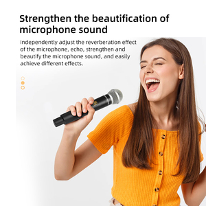 ระบบเสียงคาราโอเกะระดับมืออาชีพ เอฟเฟกต์เสียงสเตอริโอ ไมโครโฟนบลูทูธ พร้อมเอคโค่ รีเวิร์บ และเอฟเฟกต์ดิจิตอล 99DSP - Product Image 4