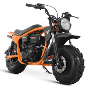 รถมอเตอร์ไซค์ Tao Motor 2025 รุ่นใหม่ โครงเหล็ก ยางใหญ่ สำหรับขับขี่ออฟโรด 200 ซีซี มินิไบค์ - Product Image 3