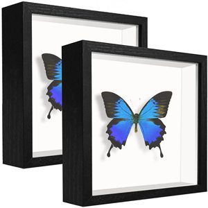 Nhà Máy Bán buôn tùy chỉnh khung gỗ hiển thị trường hợp với thư dán khung ảnh của kích cỡ khác nhau cho bóng hộp hiển thị - Product Image 2