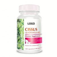 Capsules d'extrait de Cissus Quadrangularis 500mg – Compléments alimentaires à base de plantes – Capsules de Cissus Quadrangularis L.