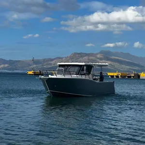 福音11米36英尺巨大的铝制渔舱快艇和船只，用于租船和家庭休闲