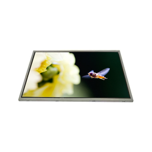 Pantalla LCD Original Nueva ADS Normally Black EV213U0M-N10 de 21.3 Pulgadas 1600LCR*1200 UXGA 94PPI OEM para Imágenes Médicas - Product Image 1