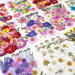 Kit de matériaux pour fleurs pressées DIY, kits combinés de Noël, marque-pages, coques de téléphone, maquillage époxy pour le visage pour la Fête <span class=keywords><strong>des</strong></span> Mères - Product Image 6