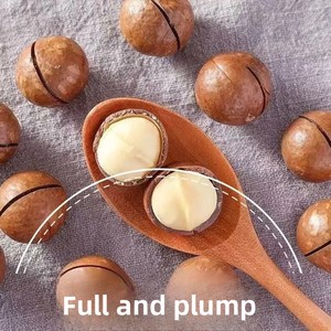 500g Dried <strong>Macadamia</strong> <strong>Nuts</strong> Bulk Wholesale Cream Flavor Annual Goods - Product Image 3