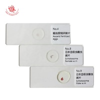 Prepared Slides 10 Kinds Parasite Slides Set Parasitology Microscope Prepared Slides Medical Education