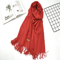Écharpe en laine personnalisée en gros Hot-Selling Dames Pashima Châle d'hiver Cachemire Tassel Écharpe