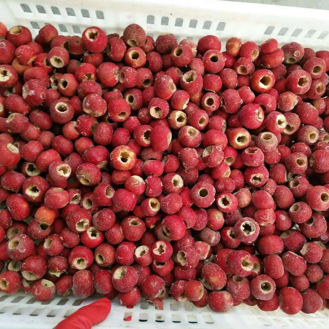 Nieuwe Bevroren Bedrijfswinkel Koosjer Bulk-Stijl Opslagverpakking Fructus Crataegi Fruit Bevroren Meidoornbes