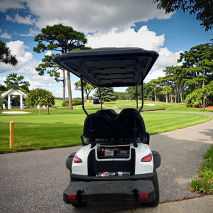 Cómodo Carro de Golf Eléctrico Todoterreno de 6 Plazas, Buggy de Caza con Batería de 48v para Carreteras No Públicas - Product Image 2
