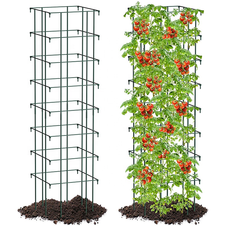 Faltbarer Tomaten-Sttzkfig Metall Quadratischer Pflanzensttzpfahl Turm  fr Garten Topfpflanzen Auberginen Gurken Kletterpflanzen Knstliche  Pflanzen| Alibaba.com