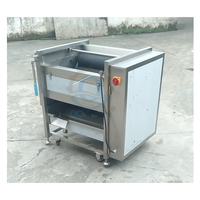 Machine à éplucher de qualité alimentaire éplucheur de pommes de terre manioc patate douce carotte betterave peau brosse lavage éplucheur