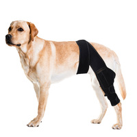 Attelle de genou orthopédique réglable sur mesure pour chien, support de jambe, enveloppe protectrice articulaire, manchon de récupération pour l'ACL