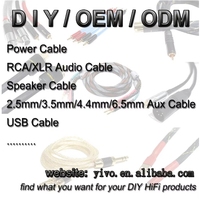 Câble d'extension d'alimentation CA audiophile HIFI YIVO XSSH, plaqué argent OCC OD24mm, US/EU, OEM ODM pour amplificateur, home cinéma, vente en gros