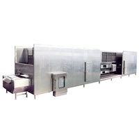 Professionele mesh-belt tunnelvriezer met roestvrijstalen strip blast chiller vriezer voor groenten, fruit en bessen