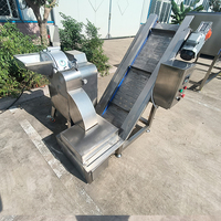 YouBan Multifunctionele 3D Snijmachine voor Vers Halfgevroren Vlees Cassave Mango Banaan Kaas Kubus Reep Plak Snijden SUS304