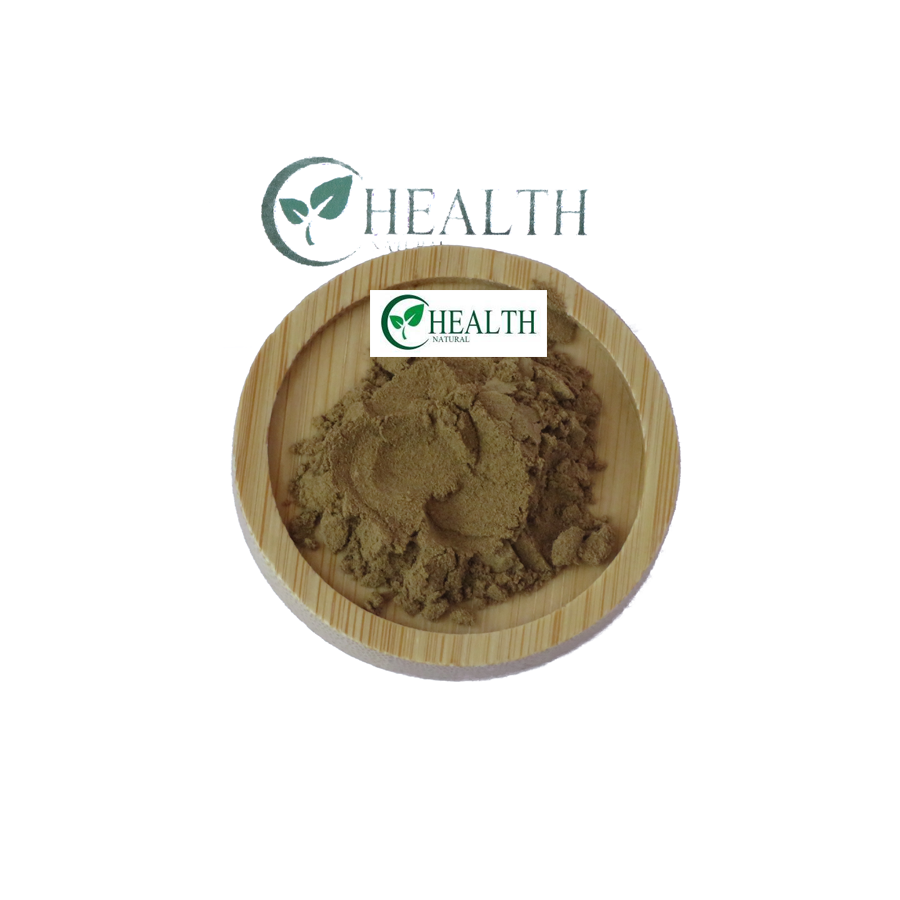 Wholesale Rumex Crispus Curly Dock Yellow Dock Powder Organic Dock Root Extract