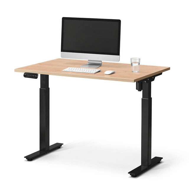 Ergonomic Single Motor Electric Standing Desk 2-Stage Height Adjustable Sit to Stand Office Workstation